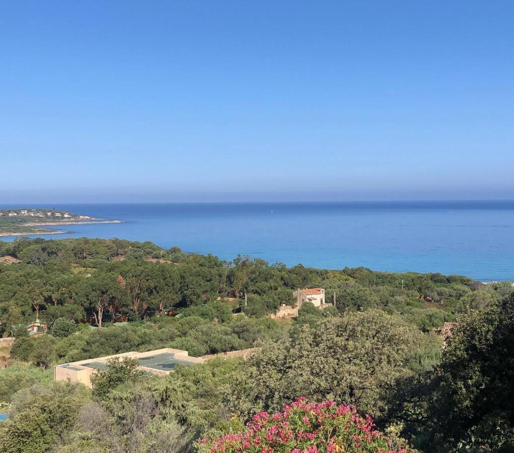 Petite Pause De Fogata - Jolie Vue Corbara